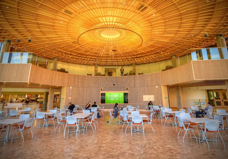 portfolio-brown-school-of-social-work-1